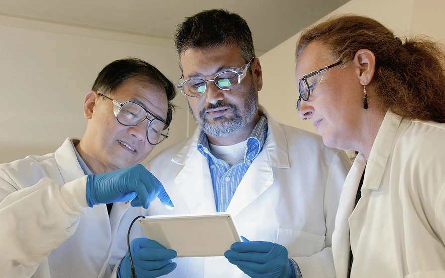 团队实力展示图